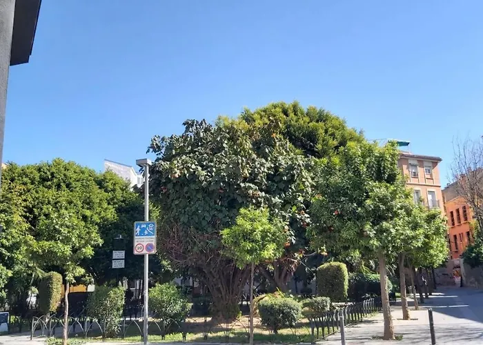 Del Parque Flats Urban Adults Luxury